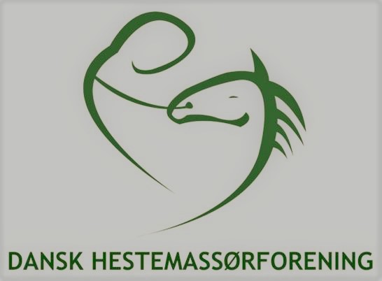 Dansk Hestemassørforening er et samlingspunkt for uddannede, certificerede hestemassører. Medlemmerne følger et sæt etiske regler, samarbejder med andre faggrupper til hestens bedste, er ansvarsforsikret, og forpligter sig til kontinuerligt at videreuddanne sig.